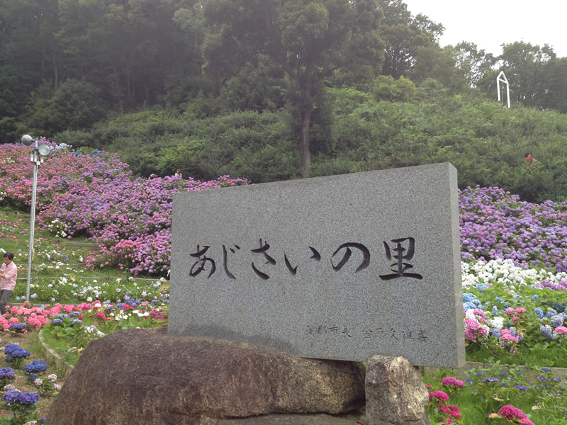 あじさいの里　石碑