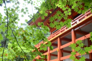 比叡山　横川中堂