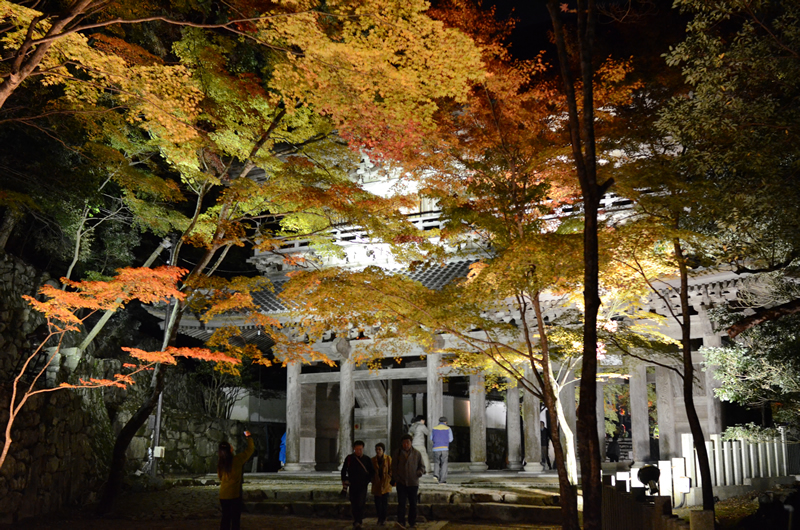 永源寺　夜の山門