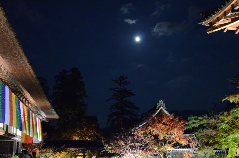 永源寺の月夜