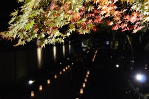 永源寺　紅葉の緑と赤