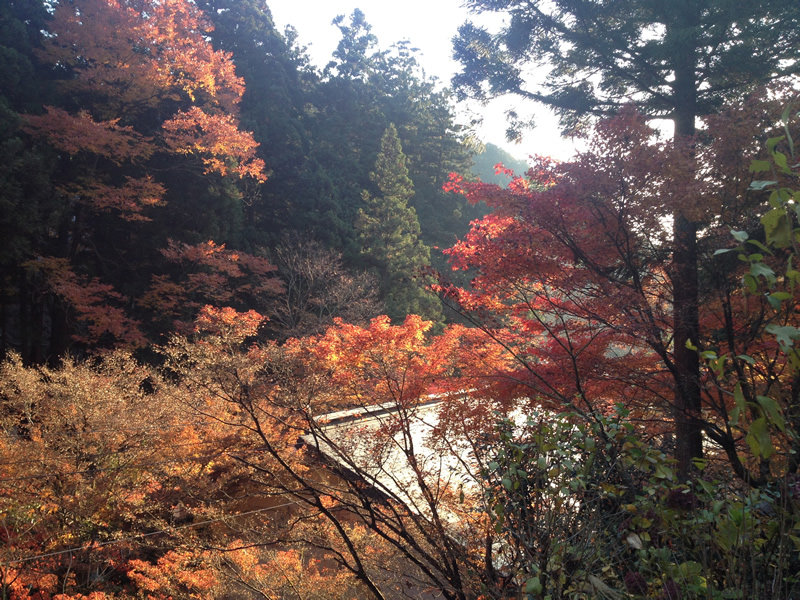 横蔵寺の紅葉